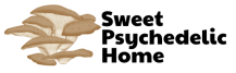 sweetpsychedelichome.com